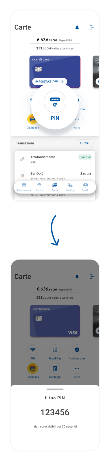 HC-icoapp-mobile-viewPIN-01-IT.png